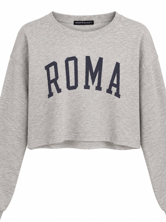 Brandy Melville Tops - Brandy Melville ROMA Cropped Sweatshirt - Light Gray